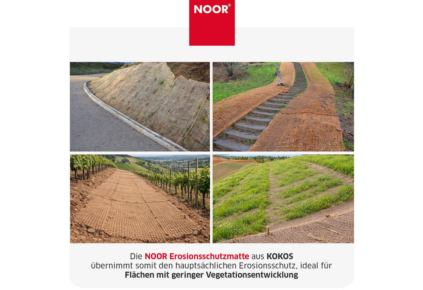 NOOR Schutznetz Erosionsschutzmatte, BxL: 1x10 m, Erosionsschutzmatte JUTE und KOKOS zum Schutz der Gartenlandschaft – Bild 5 von 5