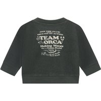 Noppies Baby Sweater - Backprint