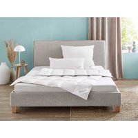 OBB Premium Daunen-Kassettenbettdecke Elegance, medium (135 X 200 CM)