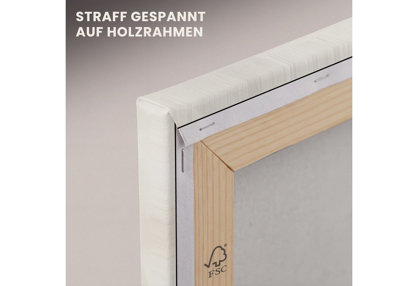 OneMillionCanvasses® Leinwandbild Blume - Beige - Farbe - Schatten, Fotodruck (1 St), Leinwand Bilder Klein, Wand Dekoration Aesthetic 30x20 cm – Bild 5 von 5