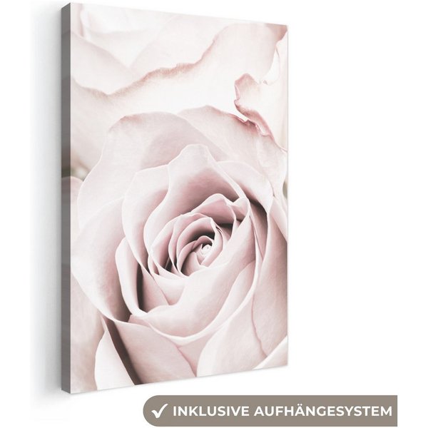 OneMillionCanvasses® Leinwandbild Blumen - Rose - Rosa - Botanisch, Fotodruck (1 St), Vintage Deko Bilder Wohnzimmer, Wanddeko Retro, 20x20 cm