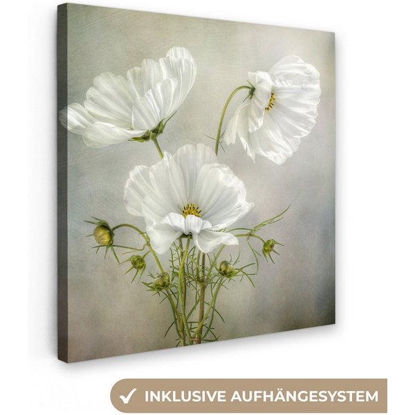 OneMillionCanvasses® Leinwandbild Blumen - Stillleben - Mohn - Weiß - Botanisch, Fotodruck (1 St), Wandbild, Deko Schlafzimmer Wohnzimmer Flur 20x20 cm