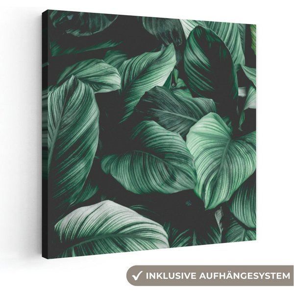 OneMillionCanvasses® Leinwandbild Dschungel - Blätter - Tropisch - Pflanzen - Natur, Fotodruck (1 St), Leinwand Canvas Wandbild, Wanddekoration 20x30 cm