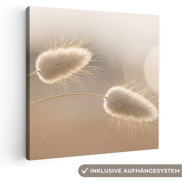 OneMillionCanvasses® Leinwandbild Dunstschwanzgras - Grannenhaare - Sonnenlicht, Fotodruck (1 St), Leinwand Bilder Klein, Wand Dekoration Aesthetic 30x20 cm