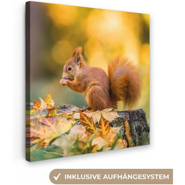 OneMillionCanvasses® Leinwandbild Eichhörnchen - Herbst - Tiere - Herbstliche Blätter - Wald, Fotodruck (1 St), Wandbild, Deko Schlafzimmer Wohnzimmer Flur 20x2
