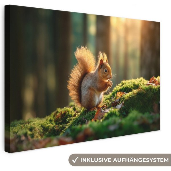 OneMillionCanvasses® Leinwandbild Eichhörnchen - Nuss - Gras, Fotodruck (1 St), Leinwand Canvas Wandbild, Wanddekoration 20x30 cm