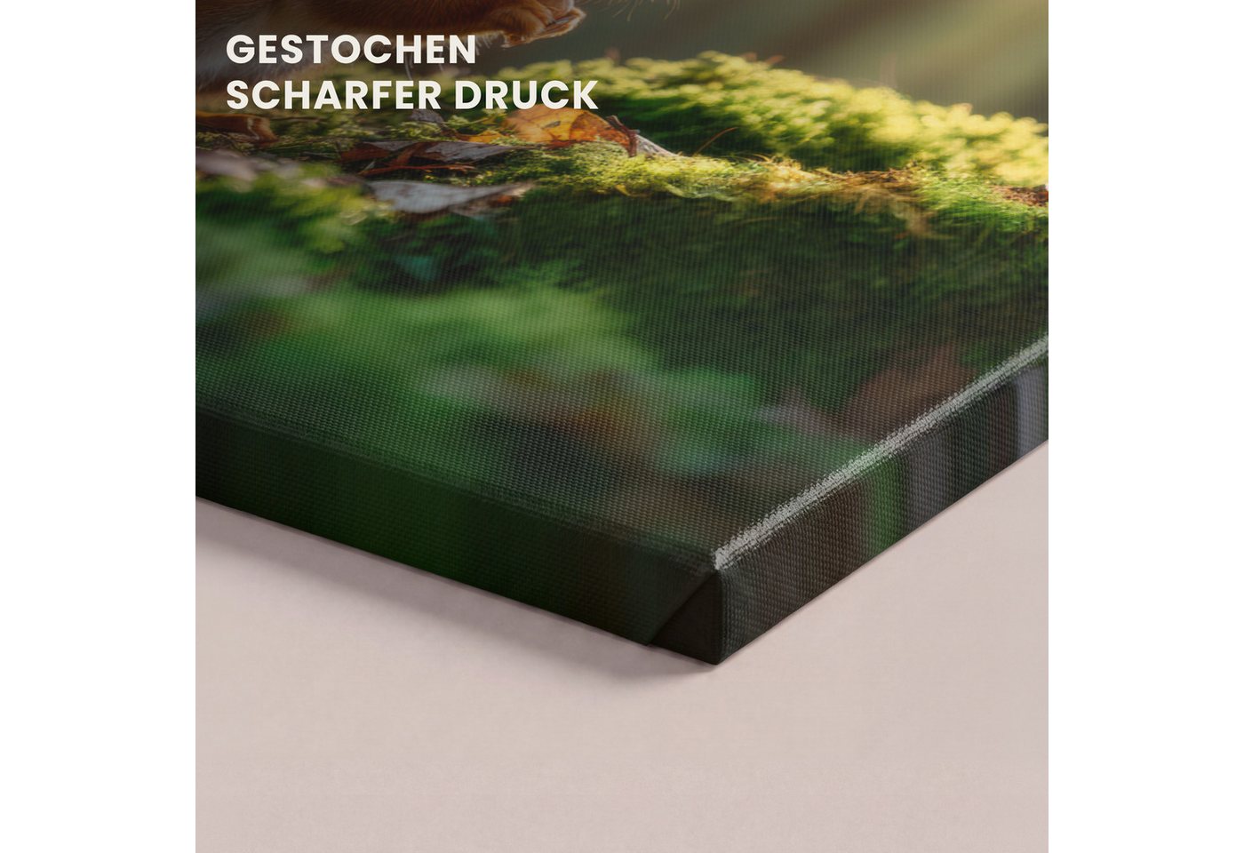 OneMillionCanvasses® Leinwandbild Eichhörnchen - Nuss - Gras, Fotodruck (1 St), Leinwand Canvas Wandbild, Wanddekoration 20x30 cm – Bild 3 von 5