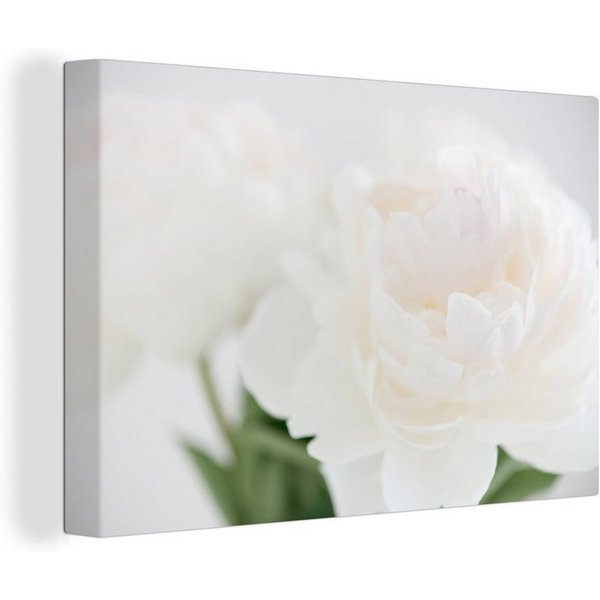 OneMillionCanvasses® Leinwandbild Ein Blumenstrauß mit weißen Pfingstrosen, Fotodruck (1 St), Leinwand Bilder Klein, Wand Dekoration Aesthetic 30x20 cm