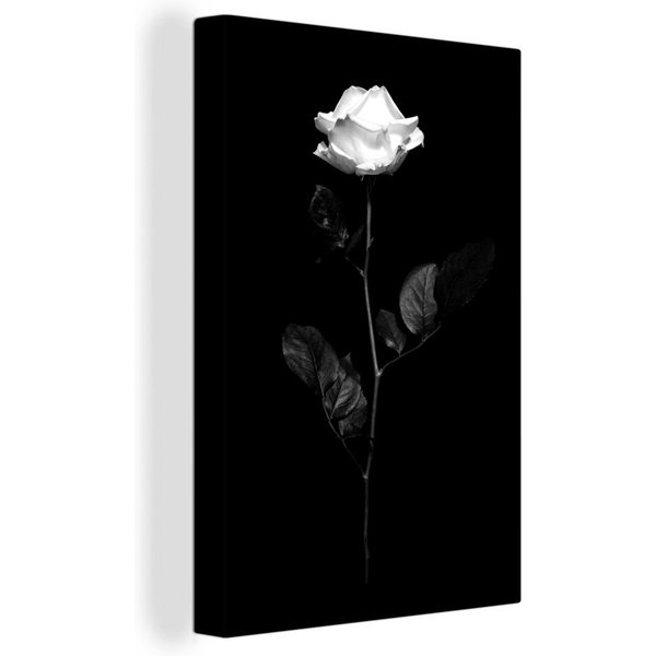 OneMillionCanvasses® Leinwandbild Eine weiße Rose auf schwarzem Hintergrund - schwarz und weiß, (1 St), Leinwandbild fertig bespannt inkl. Zackenaufhänger, Gemä