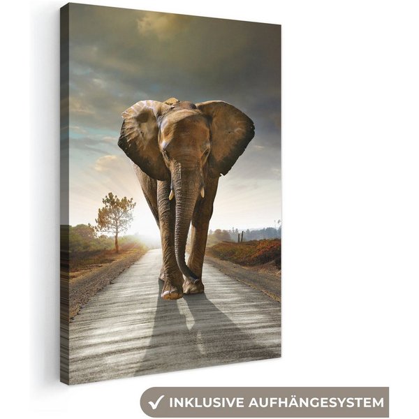 OneMillionCanvasses® Leinwandbild Elefant - Straße - Tiere - Sonnenuntergang - Landschaft, Fotodruck (1 St), Leinwand Bilder Klein, Wand Dekoration Aesthetic 30