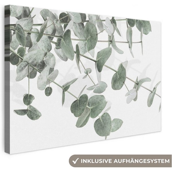 OneMillionCanvasses® Leinwandbild Eukalyptus - Blätter - Natur - Grün, Fotodruck (1 St), Leinwand Canvas Wandbild, Wanddekoration 20x30 cm