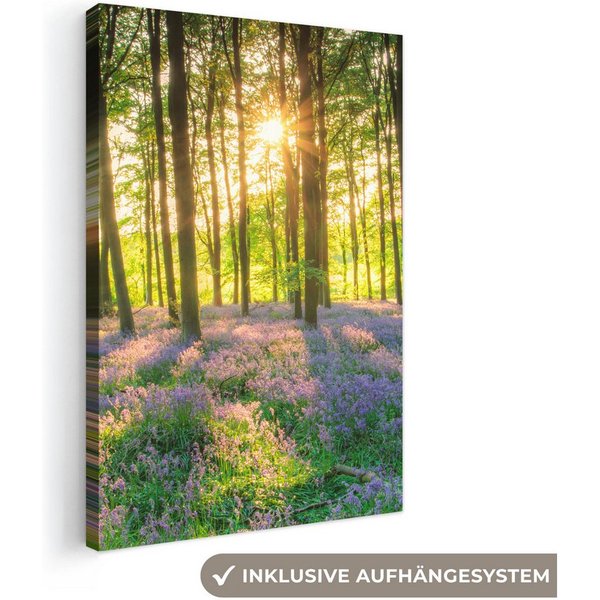 OneMillionCanvasses® Leinwandbild Frühling - Wald - Sonne, Fotodruck (1 St), Leinwand Canvas Wandbild, Wanddekoration 20x30 cm