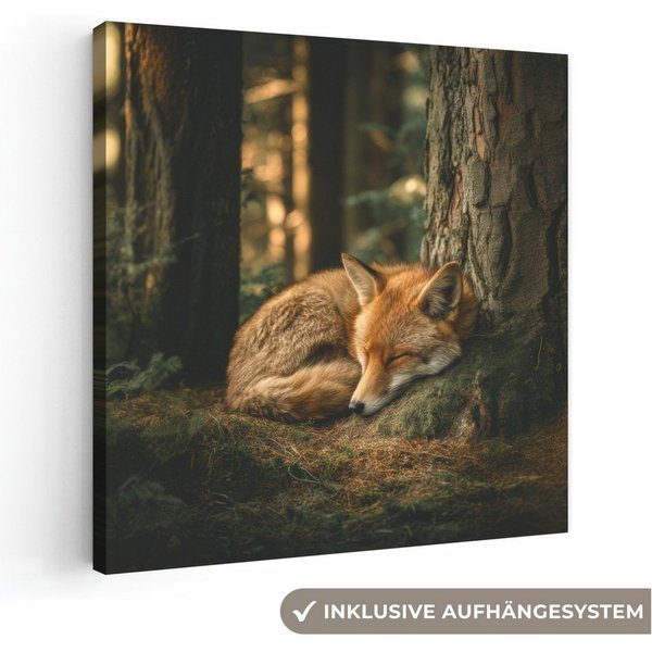 OneMillionCanvasses® Leinwandbild Fuchs - Wald - Schlaf, Fotodruck (1 St), Leinwand Bilder Klein, Wand Dekoration Aesthetic 30x20 cm