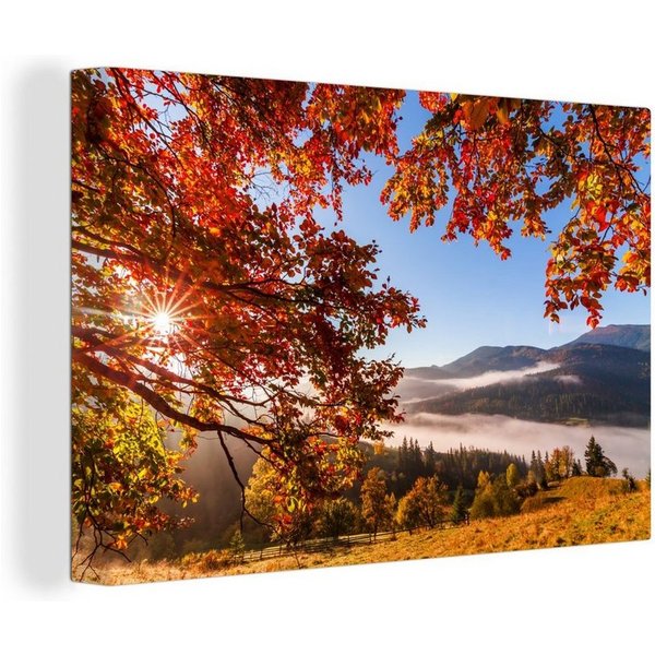 OneMillionCanvasses® Leinwandbild Herbst - Baum - Licht, Fotodruck (1 St), Leinwand Bilder Klein, Wand Dekoration Aesthetic 30x20 cm