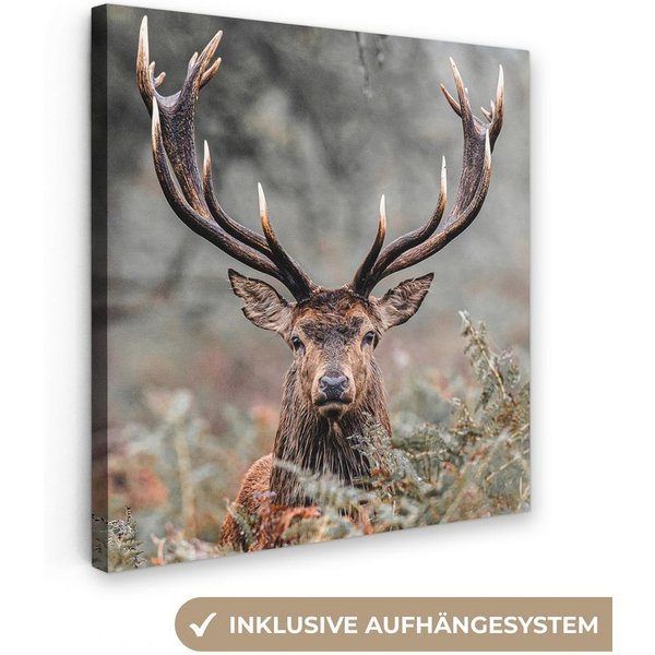OneMillionCanvasses® Leinwandbild Hirsche - Natur - Herbst - Waldtiere, Fotodruck (1 St), Leinwand Bilder Klein, Wand Dekoration Aesthetic 30x20 cm