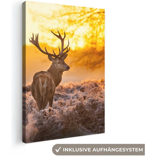 OneMillionCanvasses® Leinwandbild Hirsche - Tiere - Sonnenuntergang - Winter - Heidekraut - Natur, Fotodruck (1 St), Leinwand Canvas Wandbild, Wanddekoration 20