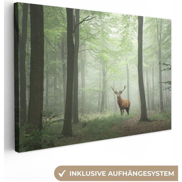 OneMillionCanvasses® Leinwandbild Hirsche - Wald - Bäume, Fotodruck (1 St), Leinwand Bilder Klein, Wand Dekoration Aesthetic 30x20 cm