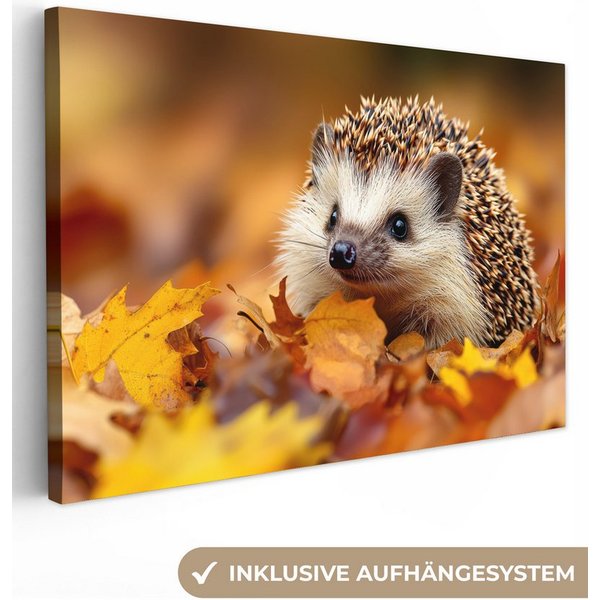 OneMillionCanvasses® Leinwandbild Igel - Wald - Herbstblätter - Herbst - Waldtiere - Natur, Fotodruck (1 St), Leinwand Bilder Klein, Wand Dekoration Aesthetic 3