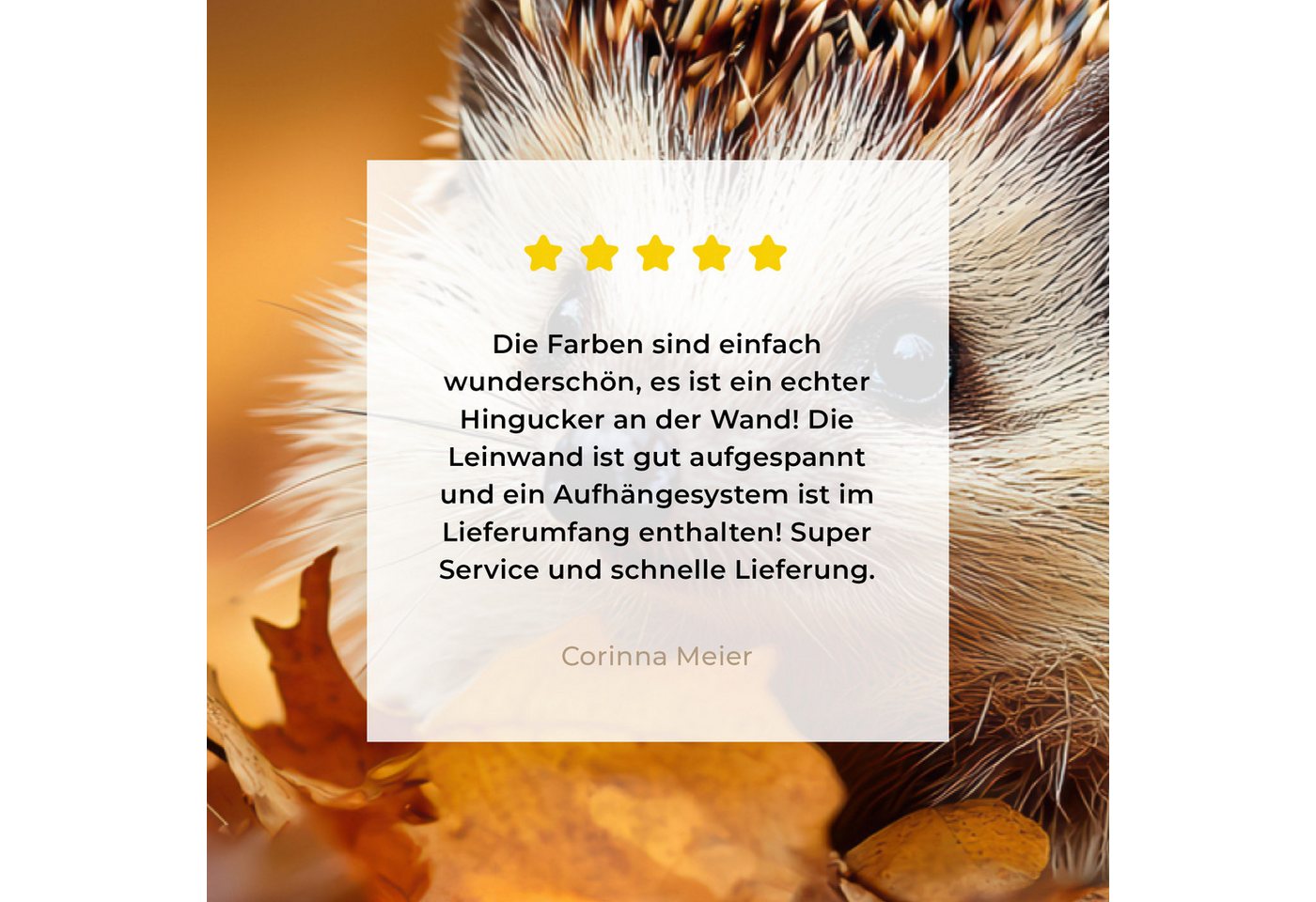 OneMillionCanvasses® Leinwandbild Igel - Wald - Herbstblätter - Herbst - Waldtiere - Natur, Fotodruck (1 St), Leinwand Bilder Klein, Wand Dekoration Aesthetic 3 – Bild 5 von 5