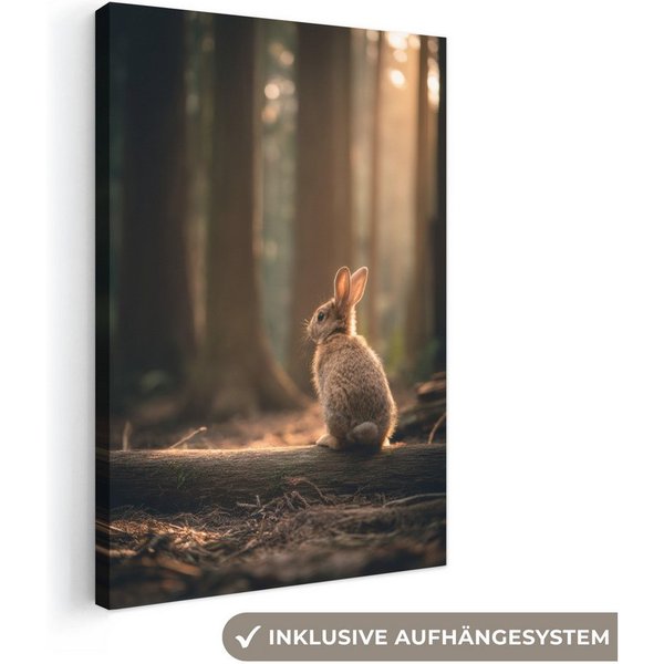 OneMillionCanvasses® Leinwandbild Kaninchen - Wald - Sonnenstrahlen, Fotodruck (1 St), Wandbild, Deko Schlafzimmer Wohnzimmer Flur 20x20 cm