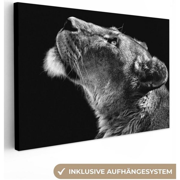 OneMillionCanvasses® Leinwandbild Löwe - Tiere - Schwarz und weiß, Fotodruck (1 St), Leinwand Bilder Klein, Wand Dekoration Aesthetic 30x20 cm