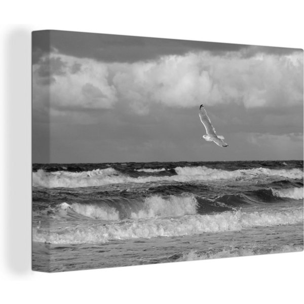 OneMillionCanvasses® Leinwandbild Ostsee - Möwe - Wasser, Fotodruck (1 St), Leinwand Bilder Klein, Wand Dekoration Aesthetic 30x20 cm