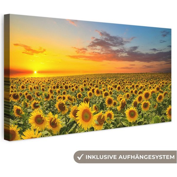 OneMillionCanvasses® Leinwandbild Panorama Blumen – Sonnenblume – Sonnenuntergang – Nacht – Orange, Fotodruck (1 St), Wandbild, Deko Schlafzimmer Wohnzimmer Flu