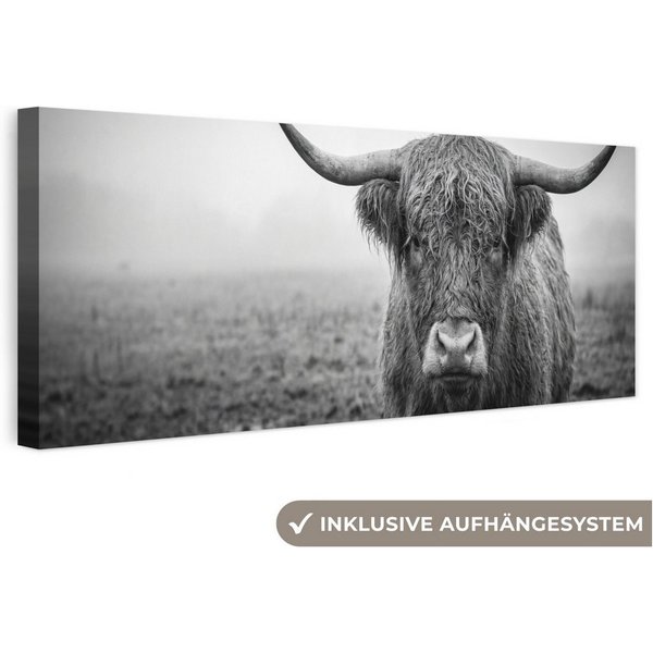 OneMillionCanvasses® Leinwandbild Panorama Schottischer Highlander - Schwarz - Weiß - Gras, Fotodruck (1 St), Wandbild, Deko Schlafzimmer Wohnzimmer Flur 60x20 