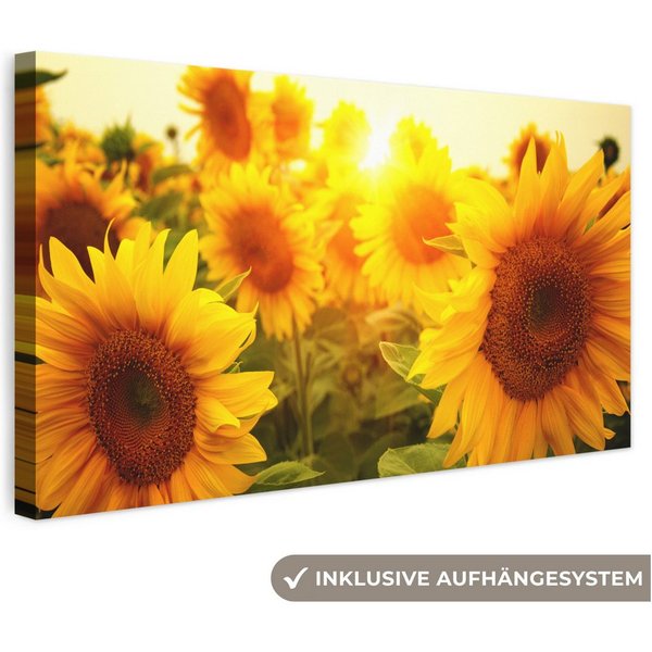 OneMillionCanvasses® Leinwandbild Panorama Sonnenblume - Gelb - Blumen - Sonne, Fotodruck (1 St), Wandbild, Deko Schlafzimmer Wohnzimmer Flur 40x20 cm