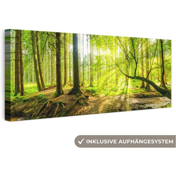 OneMillionCanvasses® Leinwandbild Panorama Wald - Landschaft - Wasser - Bäume - Sonne - Grün - Natur, Fotodruck (1 St), Wandbild, Deko Schlafzimmer Wohnzimmer F