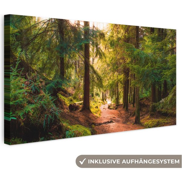 OneMillionCanvasses® Leinwandbild Panorama Wald - Weg - Bäume - Grün - Sonne - Natur, Fotodruck (1 St), Wandbild, Deko Schlafzimmer Wohnzimmer Flur 40x20 cm