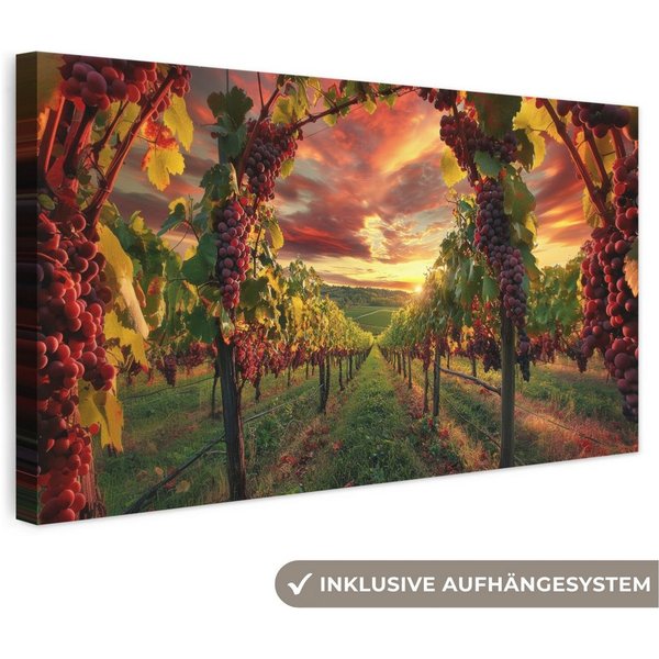 OneMillionCanvasses® Leinwandbild Panorama Weinberg - Weintrauben - Sonnenuntergang, Fotodruck (1 St), Wandbild, Deko Schlafzimmer Wohnzimmer Flur 40x20 cm