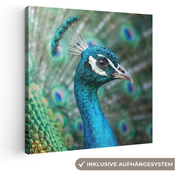 OneMillionCanvasses® Leinwandbild Pfau - Federn - Blau, Fotodruck (1 St), Wandbild, Deko Schlafzimmer Wohnzimmer Flur 20x20 cm