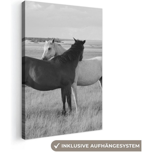 OneMillionCanvasses® Leinwandbild Pferde - Tiere - Porträt - Schwarz-Weiß - Landleben, Fotodruck (1 St), Leinwand Bilder Klein, Wand Dekoration Aesthetic 30x20 