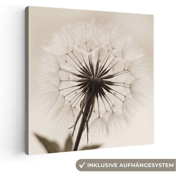 OneMillionCanvasses® Leinwandbild Pusteblume - Minimalistisch - Weiß, Fotodruck (1 St), Leinwand Canvas Wandbild, Wanddekoration 20x30 cm