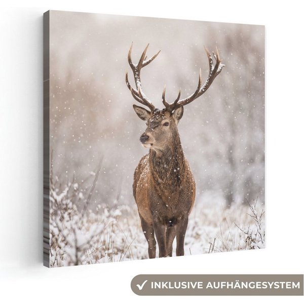 OneMillionCanvasses® Leinwandbild Rothirsch - Wald - Schnee - Winter - Majestätisch, Fotodruck (1 St), Leinwand Bilder Klein, Wand Dekoration Aesthetic 30x20 cm