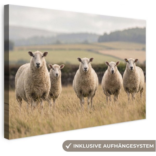 OneMillionCanvasses® Leinwandbild Schafe - Weidelandschaft - Hügel, Fotodruck (1 St), Wandbild, Deko Schlafzimmer Wohnzimmer Flur 20x20 cm