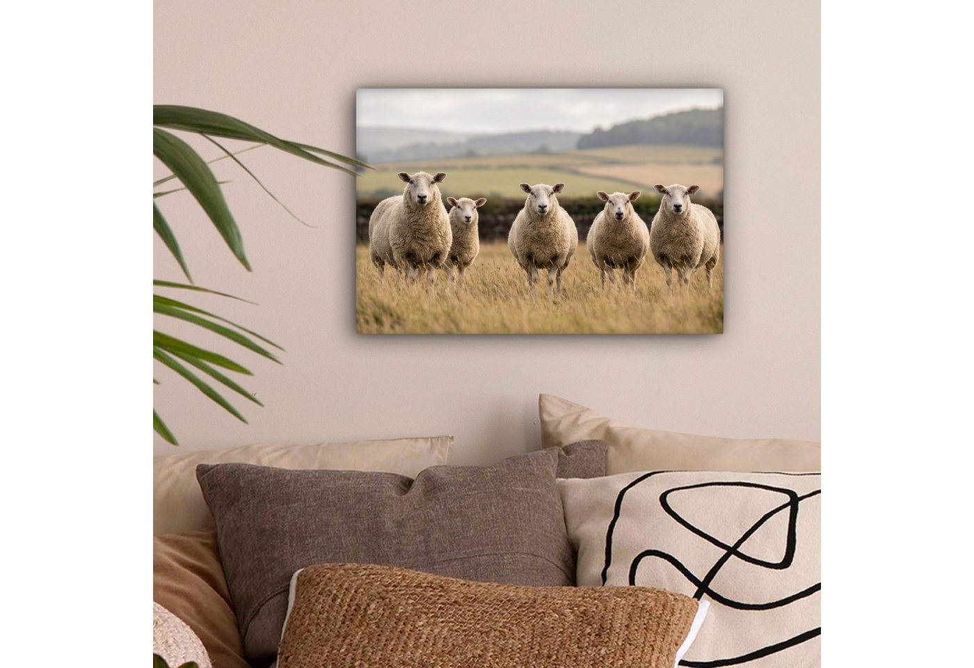 OneMillionCanvasses® Leinwandbild Schafe - Weidelandschaft - Hügel, Fotodruck (1 St), Wandbild, Deko Schlafzimmer Wohnzimmer Flur 20x20 cm – Bild 2 von 5