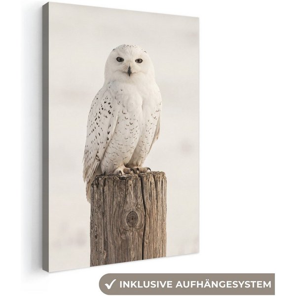OneMillionCanvasses® Leinwandbild Schneeeule - Pfahl - Winter - Porträt - Majestätisch, Fotodruck (1 St), Leinwand Bilder Klein, Wand Dekoration Aesthetic 30x20