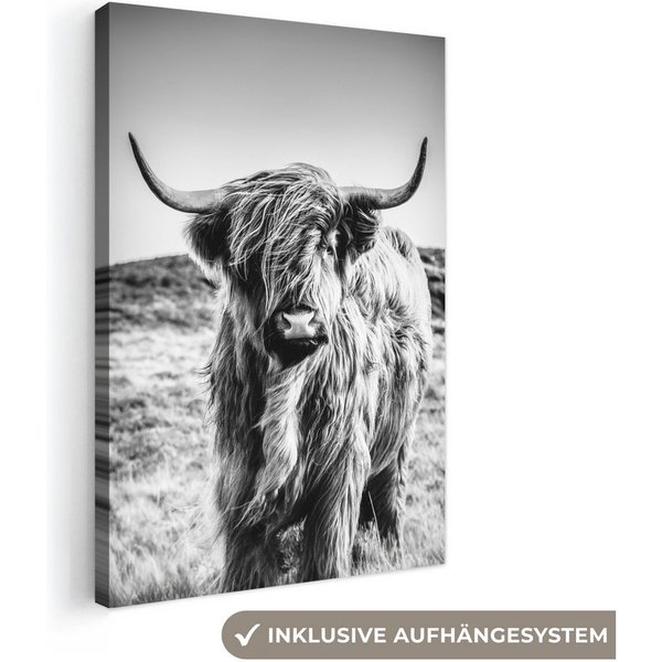 OneMillionCanvasses® Leinwandbild Schottischer Highlander - Natur - Kuh - Schwarz - Weiß, Fotodruck (1 St), Leinwand Canvas Wandbild, Wanddekoration 20x30 cm