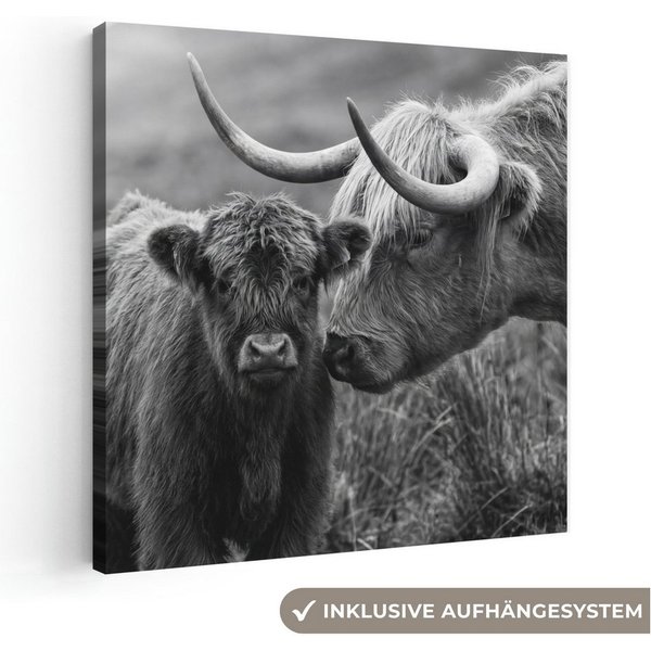 OneMillionCanvasses® Leinwandbild Schottischer Highlander - Kalb - Schwarz - Weiß, Fotodruck (1 St), Leinwand Bilder Klein, Wand Dekoration Aesthetic 30x20 cm