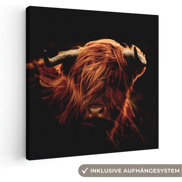 OneMillionCanvasses® Leinwandbild Schottischer Highlander - Kuh - Hörner - Porträt - Tiere, Fotodruck (1 St), Leinwand Canvas Wandbild, Wanddekoration 20x30 cm