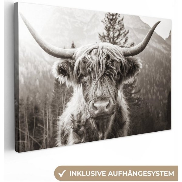 OneMillionCanvasses® Leinwandbild Schottischer Highlander - Kuh - Tiere - Schwarz - Weiß, Fotodruck (1 St), Leinwand Bilder Klein, Wand Dekoration Aesthetic 30x