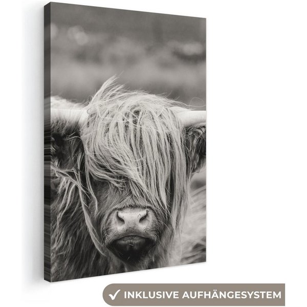OneMillionCanvasses® Leinwandbild Schottischer Highlander - Kuh - Tiere - Schwarz-Weiß - Ländlich, Fotodruck (1 St), Leinwand Bilder Klein, Wand Dekoration Aest