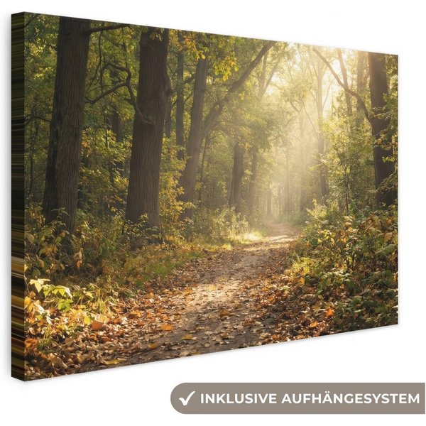 OneMillionCanvasses® Leinwandbild Sonnenlicht - Waldweg - Bäume, Fotodruck (1 St), Leinwand Bilder Klein, Wand Dekoration Aesthetic 30x20 cm