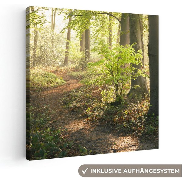 OneMillionCanvasses® Leinwandbild Wald - Bäume - Weg - Sonne - Pflanzen - Laub - Natur, Fotodruck (1 St), Leinwand Canvas Wandbild, Wanddekoration 20x30 cm