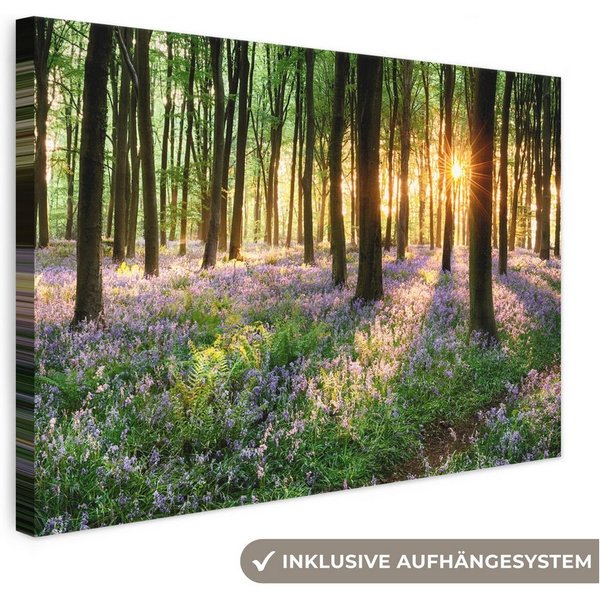 OneMillionCanvasses® Leinwandbild Wald - Blumen - Lavendel - Sonne - Lila - Natur, Fotodruck (1 St), Leinwand Canvas Wandbild, Wanddekoration 20x30 cm