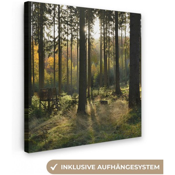 OneMillionCanvasses® Leinwandbild Wald - Sommer - Sonne, Fotodruck (1 St), Wandbild, Deko Schlafzimmer Wohnzimmer Flur 20x20 cm