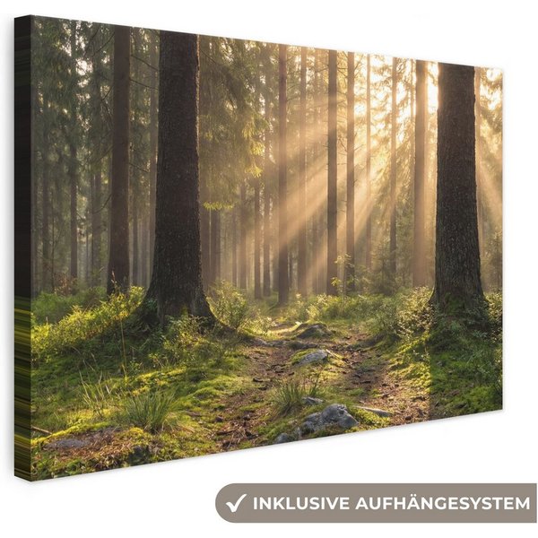 OneMillionCanvasses® Leinwandbild Wald - Sonnenlicht - Gras, Fotodruck (1 St), Leinwand Canvas Wandbild, Wanddekoration 20x30 cm