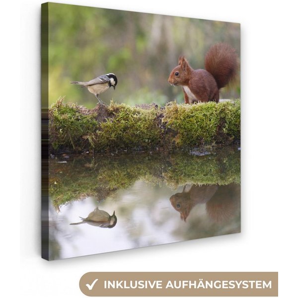 OneMillionCanvasses® Leinwandbild Waldtiere - Wasser - Moos, Fotodruck (1 St), Wandbild, Deko Schlafzimmer Wohnzimmer Flur 20x20 cm